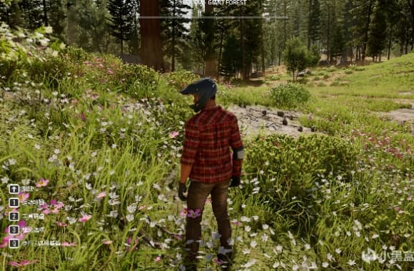 9_WH_580x380px.jpg